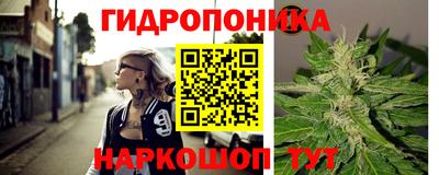 дмт Краснодар