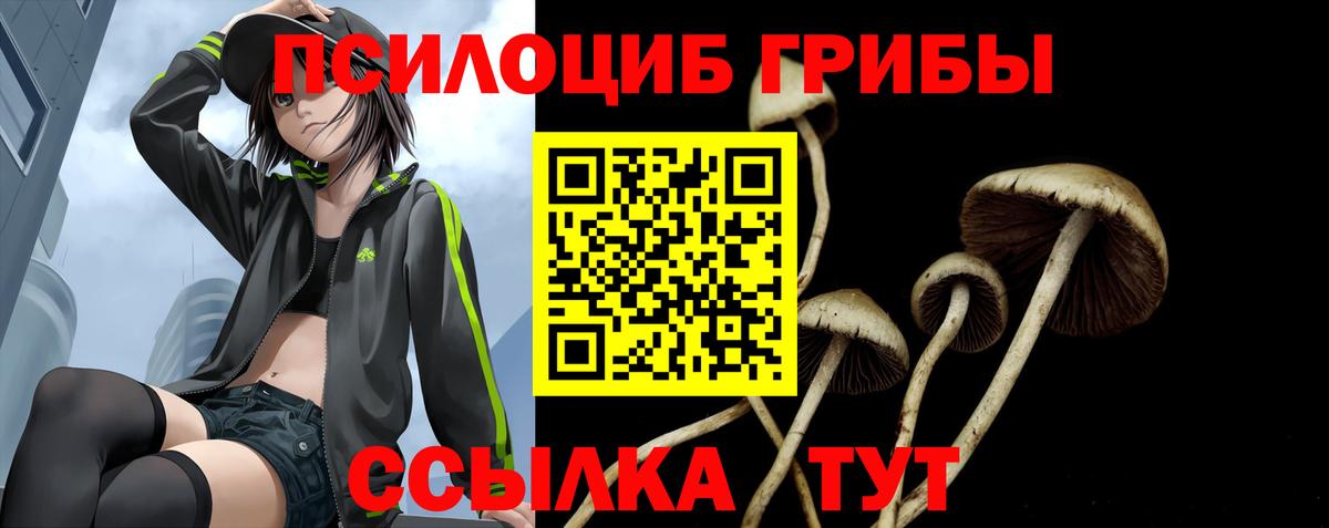 Калуга  Псилоцибиновые грибы мухоморы  Вход с VPN 
